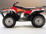 Arctic Cat 300