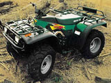 Arctic Cat 500