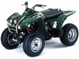 Yamaha YFB250 Timberwolf